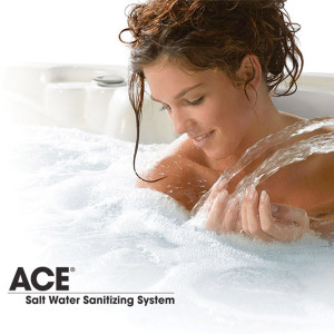 hotspring-ace-saltwater-sanitizing-system