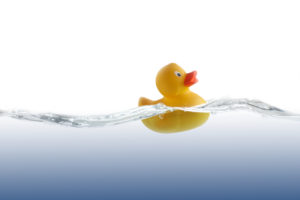 Rubber duck in water